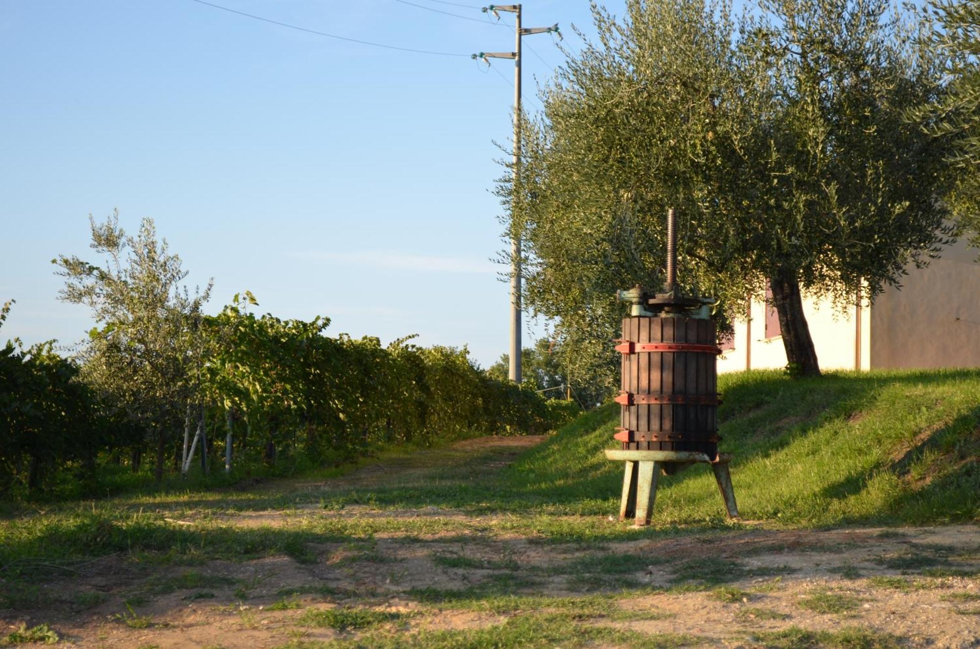 Agriturismo Casale Contessa Montebuono  Ngoại thất bức ảnh