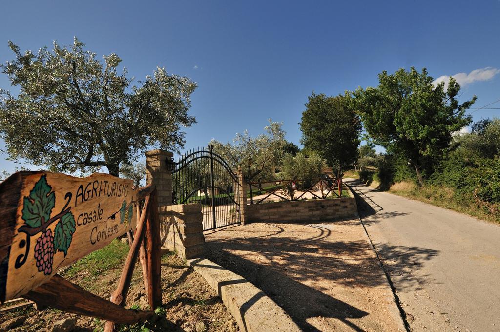 Agriturismo Casale Contessa Montebuono  Ngoại thất bức ảnh