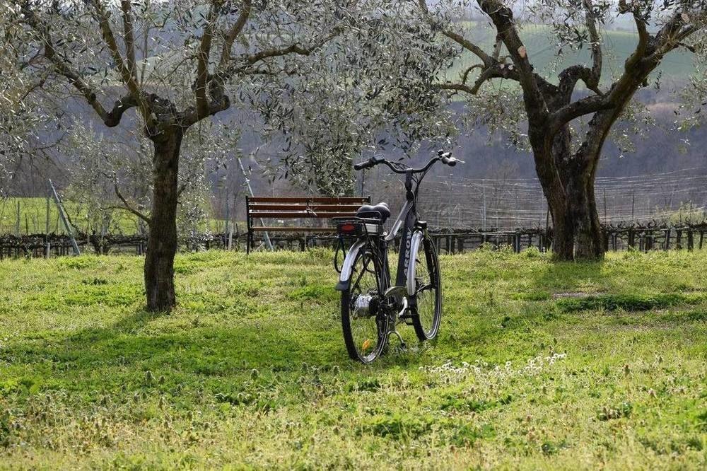 Agriturismo Casale Contessa Montebuono  Ngoại thất bức ảnh
